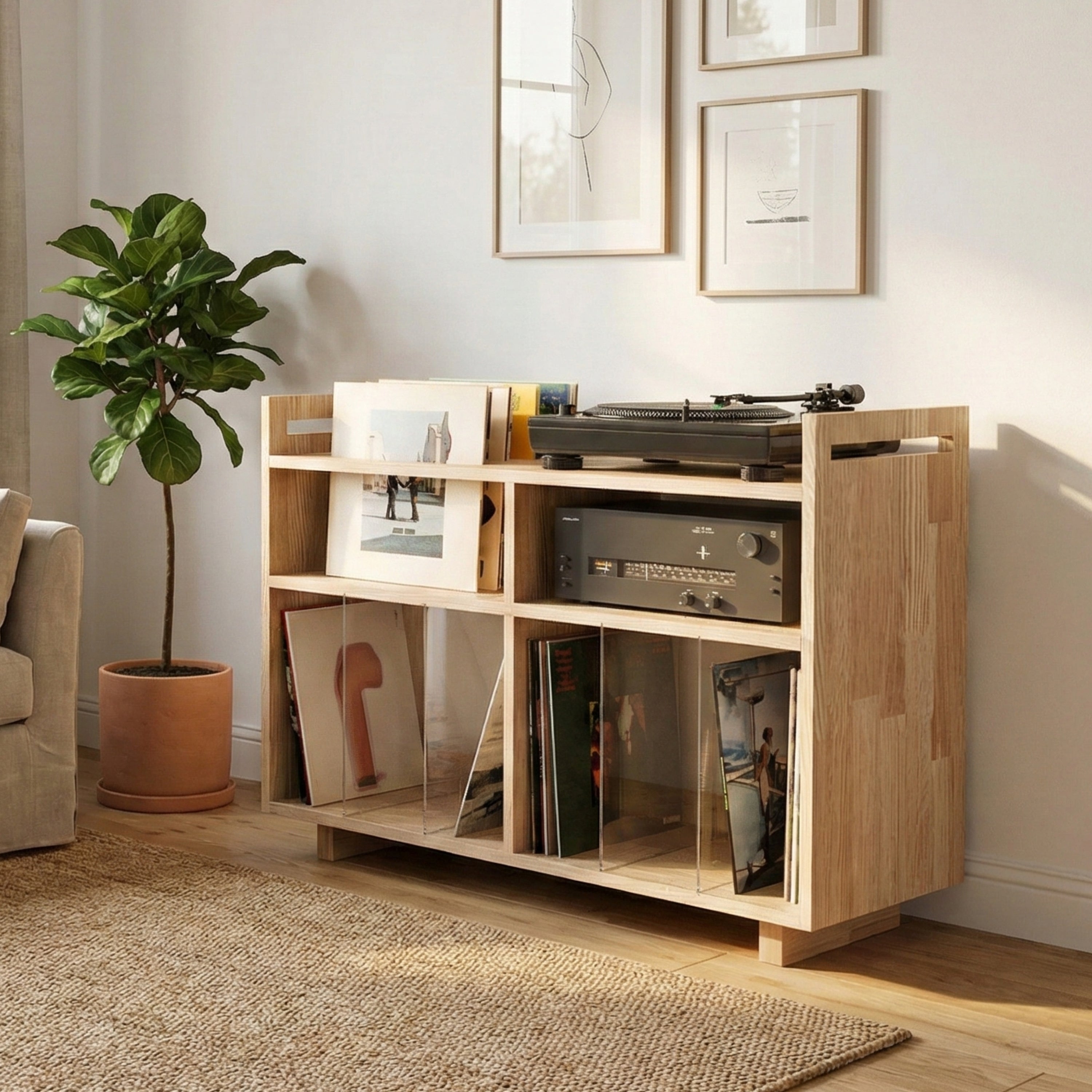 Vinyl Record Display & Turntable Stand