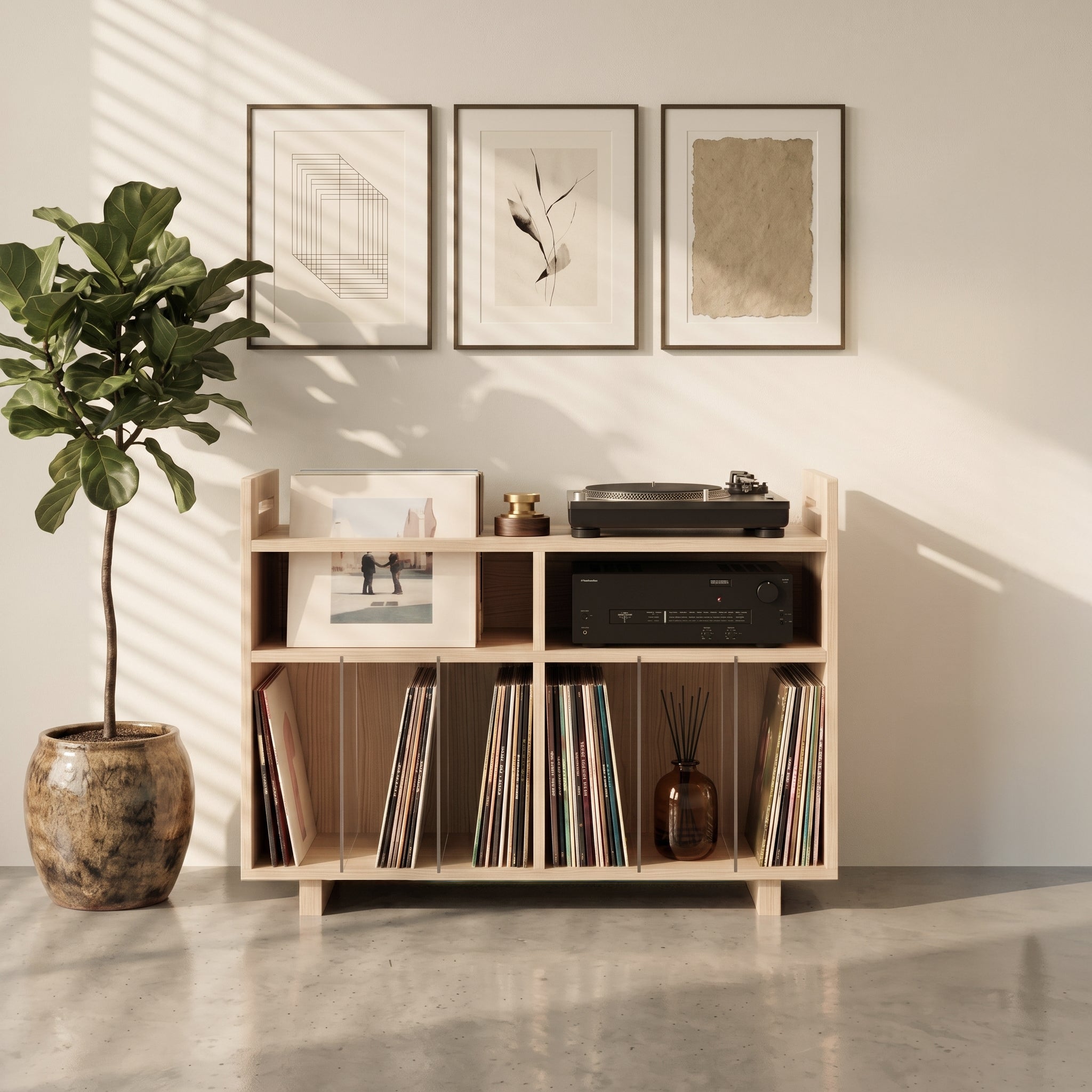 Vinyl Record Display & Turntable Stand