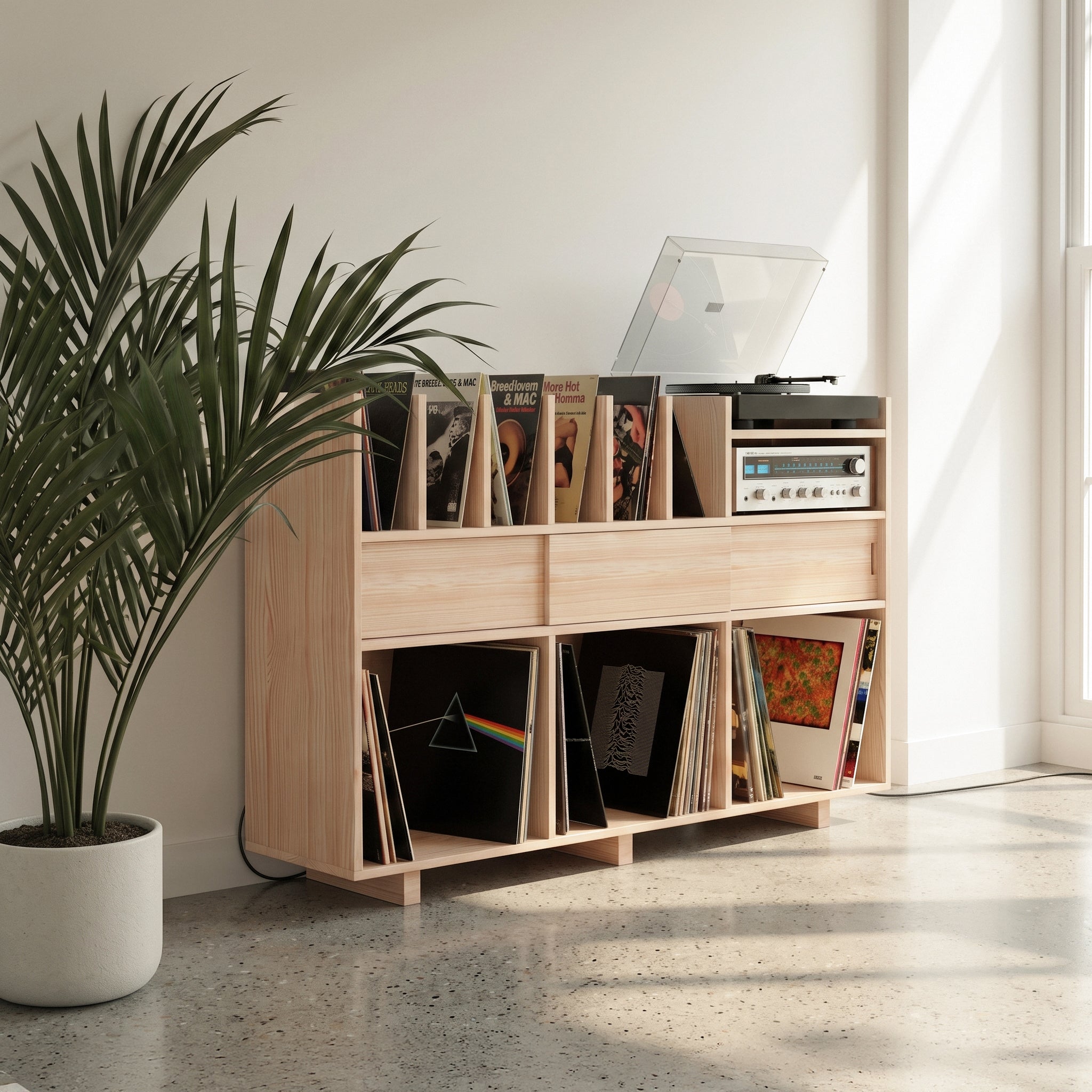 Vinyl Record Display Stand & Storage