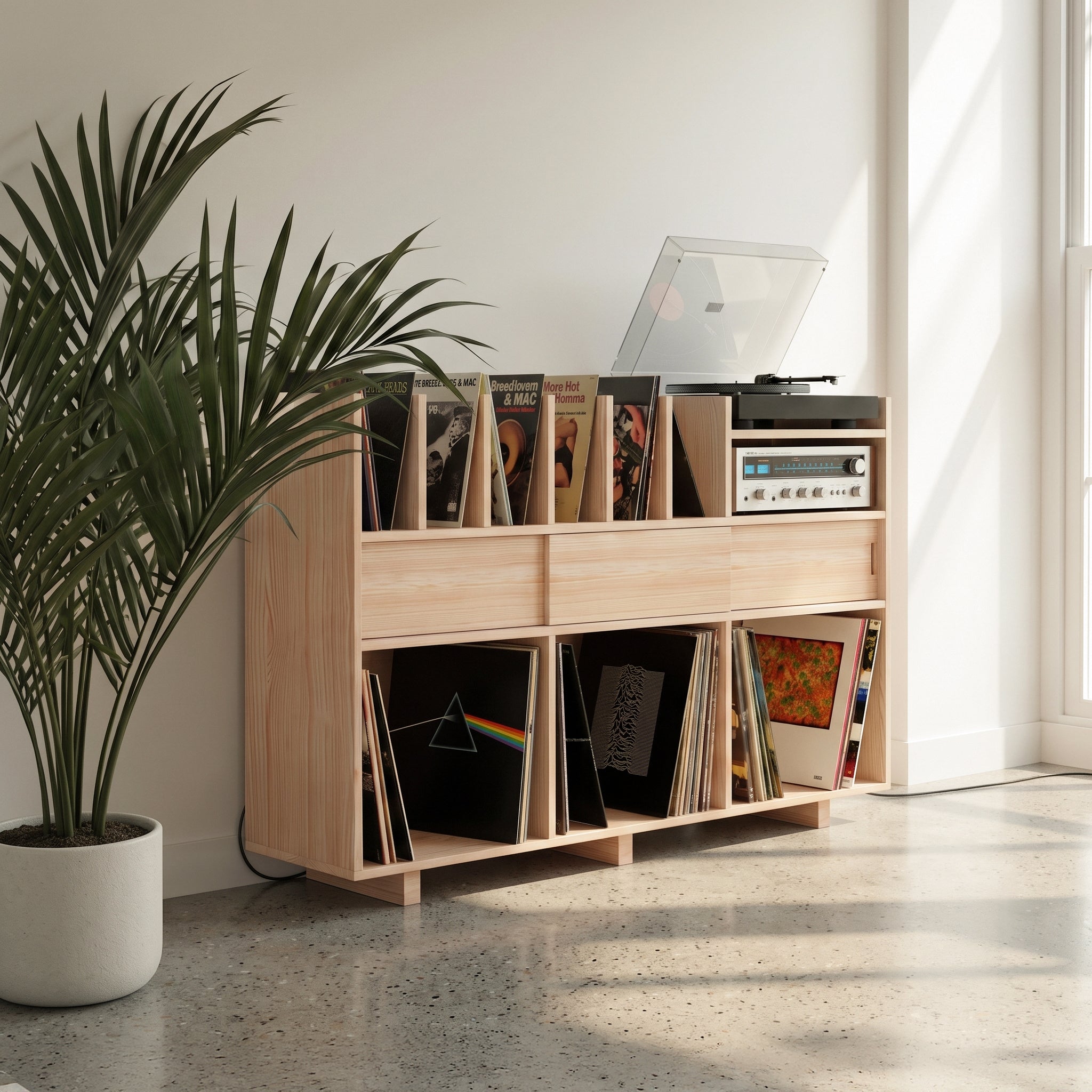 Vinyl Record Display Stand & Storage
